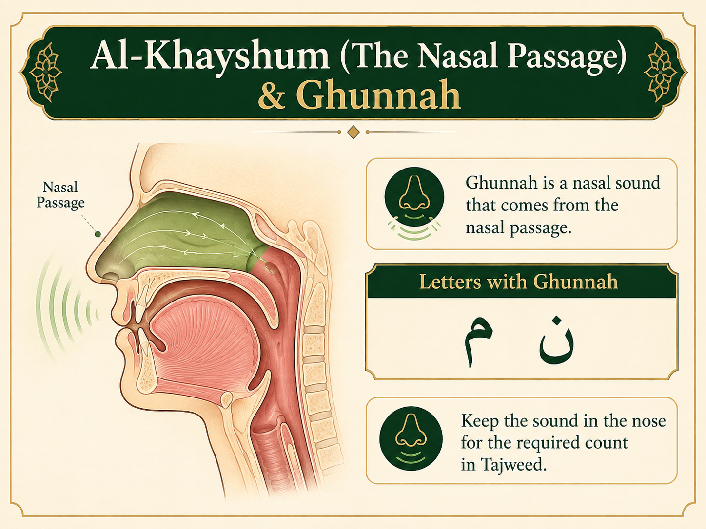Al Khayshum nasal passage showing Ghunnah for Nun and Meem in Tajweed