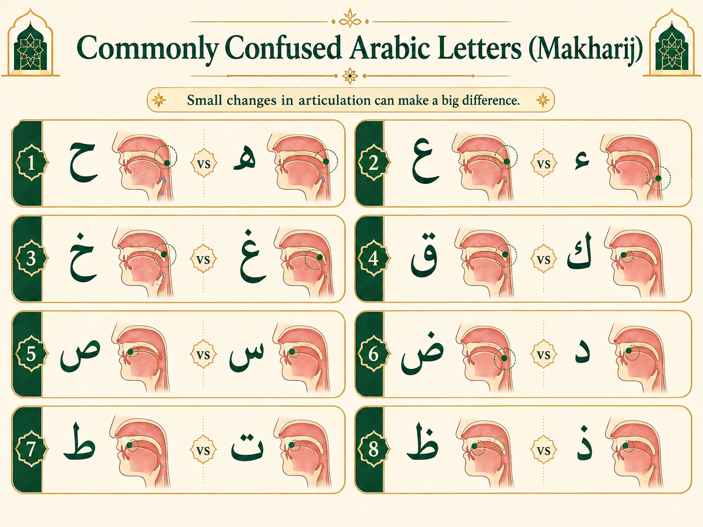 Commonly confused Arabic letters and their Makharij articulation points