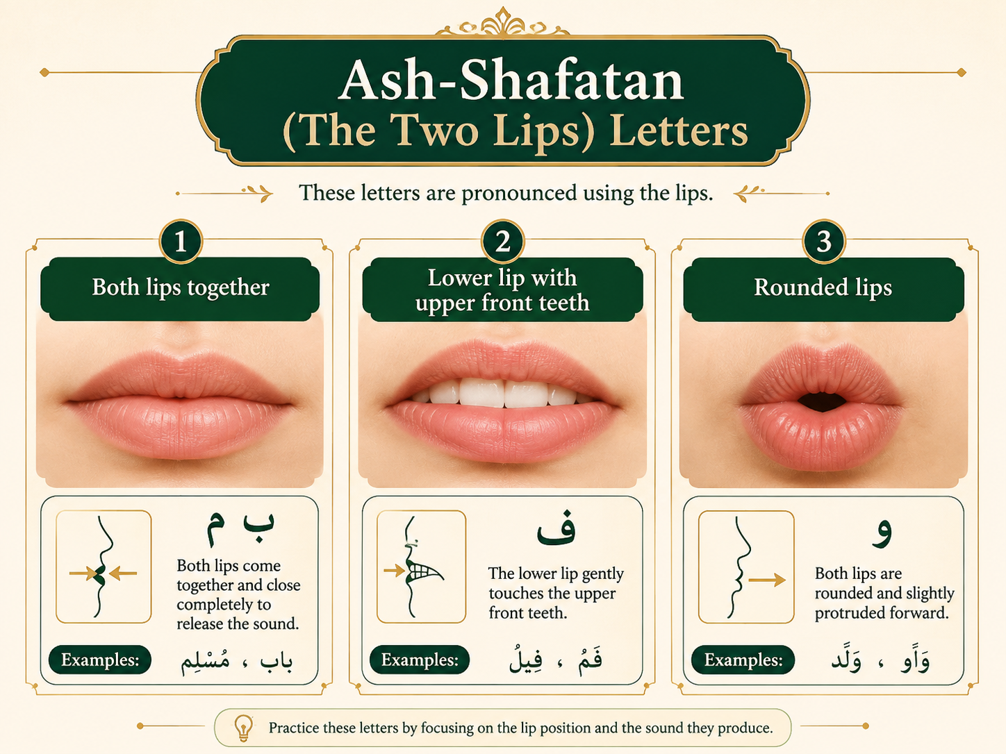 Makharij of Arabic lip letters Fa Ba Meem and Waw