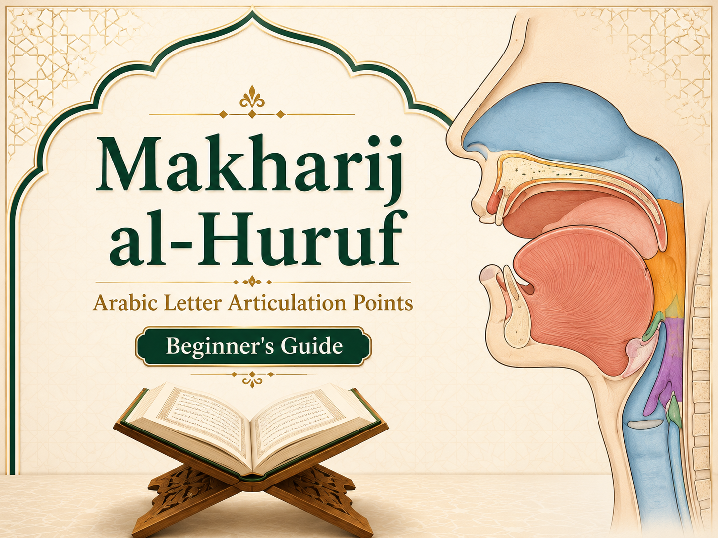 Makharij al Huruf showing the five main Arabic letter articulation areas